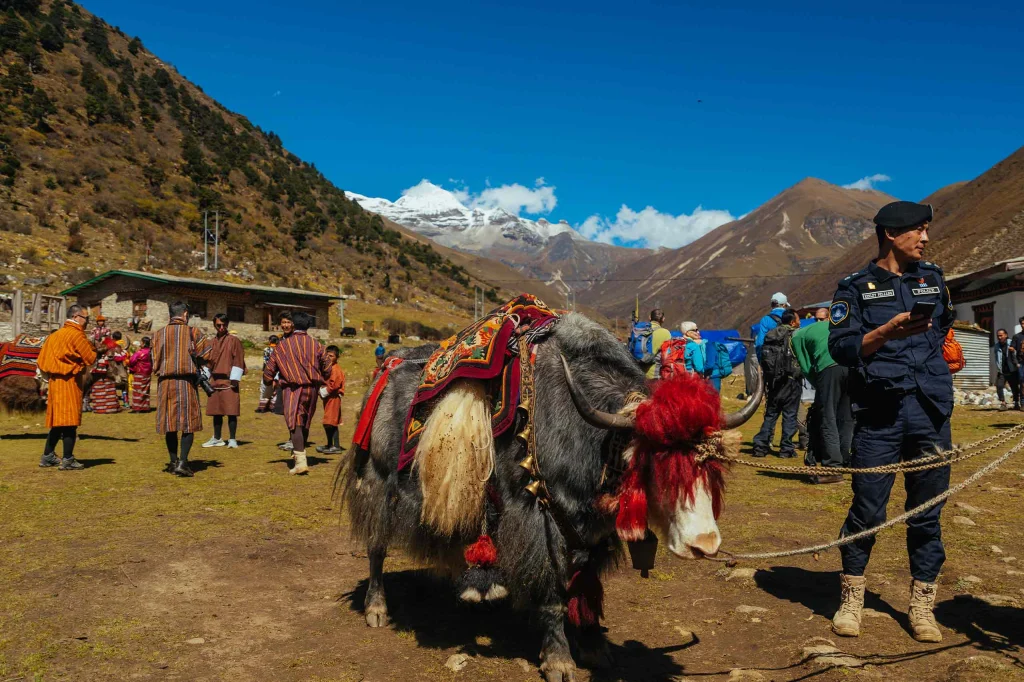 Jomolhari Base Camp Trek — a Bhutan tour package by Your Guide.